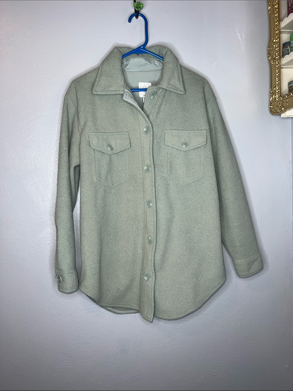 Joie Light Sage Button-Front Shacket - Women